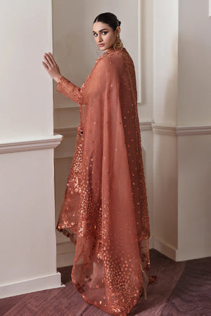 EMBROIDERED CHIFFON 3PCS SUIT